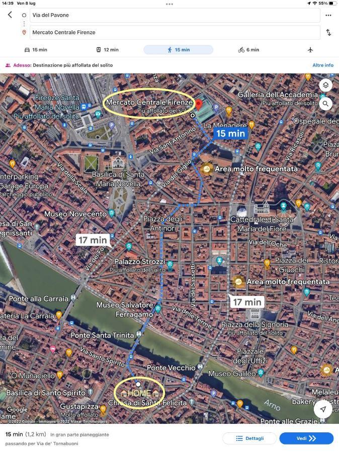 Uffizi & Santo Spirito Family/Groups Apartment Firenze Esterno foto